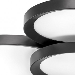 Потолочная люстра Lightstar Breve 749081 в Ишиме - ishim.mebel24.online | фото 4