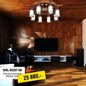 Потолочная люстра Omnilux Ferro OML-50307-08 в Ишиме - ishim.mebel24.online | фото 2