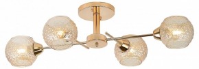Потолочная люстра Rivoli Amalia Б0050815 в Ишиме - ishim.mebel24.online | фото 2