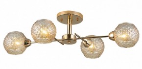 Потолочная люстра Rivoli Amalia Б0050815 в Ишиме - ishim.mebel24.online | фото 3
