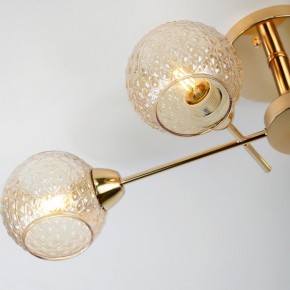 Потолочная люстра Rivoli Amalia Б0050815 в Ишиме - ishim.mebel24.online | фото 8