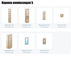 Прихожая Карина (модульная) в Ишиме - ishim.mebel24.online | фото 2