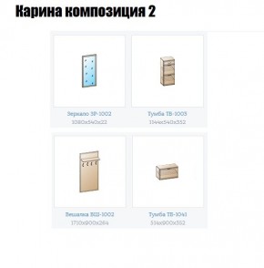 Прихожая Карина (модульная) в Ишиме - ishim.mebel24.online | фото 6