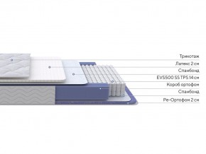 PROxSON Матрас Active Duo S/F (Ткань Трикотаж Эко) 160x190 в Ишиме - ishim.mebel24.online | фото 3