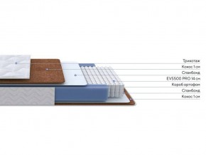 PROxSON Матрас Active F Roll (Ткань Трикотаж Эко) 120x200 в Ишиме - ishim.mebel24.online | фото 2