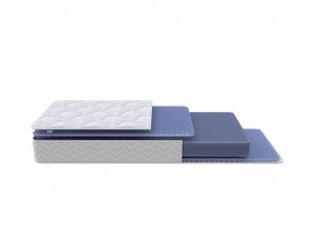 PROxSON Матрас Active Flex M (Ткань Трикотаж Эко) 160x190 в Ишиме - ishim.mebel24.online | фото 1