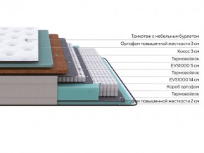 PROxSON Матрас Elysium Firm (Трикотаж Spiral-RT) 140x200 в Ишиме - ishim.mebel24.online | фото 2