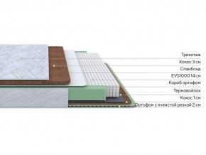 PROxSON Матрас Green Duo M/F (Tricotage Dream) 140x195 в Ишиме - ishim.mebel24.online | фото 2