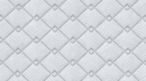 PROxSON Матрас Standart Plus M (Ткань Жаккард) 120x190 в Ишиме - ishim.mebel24.online | фото 9