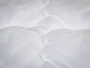 PROxSON Одеяло классическое PROSON (Стеганное полотно) 172x200 в Ишиме - ishim.mebel24.online | фото 4