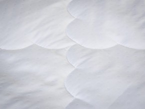 PROxSON Одеяло лёгкое PROSON (Стеганное полотно) 140x200 в Ишиме - ishim.mebel24.online | фото 4
