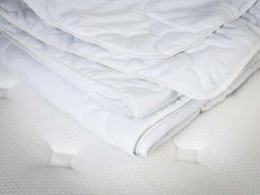PROxSON Одеяло лёгкое PROSON (Стеганное полотно) 140x200 в Ишиме - ishim.mebel24.online | фото 5