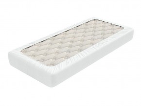 PROxSON Защитный чехол Aqua Save Light S (Ткань влагостойкая Tencel Jersey) 80x195 в Ишиме - ishim.mebel24.online | фото 2