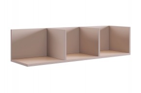 РИЧ Полка навесная 2 (кашемир) в Ишиме - ishim.mebel24.online | фото