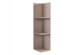 РИЧ Полка навесная 2 (кашемир) в Ишиме - ishim.mebel24.online | фото 4