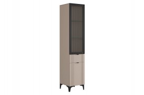 РИЧ Шкаф однодверный со стеклом в Ишиме - ishim.mebel24.online | фото