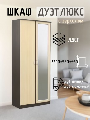 Шкаф 2-х створчатый Дуэт Люкс с зеркалом в Ишиме - ishim.mebel24.online | фото