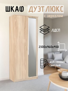 Шкаф 2-х створчатый Дуэт Люкс с зеркалом в Ишиме - ishim.mebel24.online | фото 7