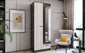 Шкаф Адель 800 в Ишиме - ishim.mebel24.online | фото