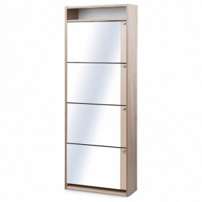 Шкаф для обуви К-4S в Ишиме - ishim.mebel24.online | фото