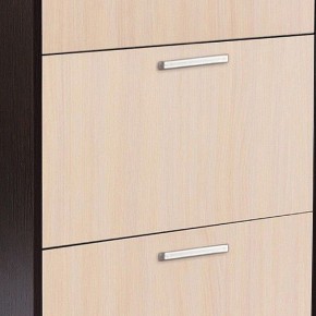 Шкаф для обуви УК-4 в Ишиме - ishim.mebel24.online | фото 2