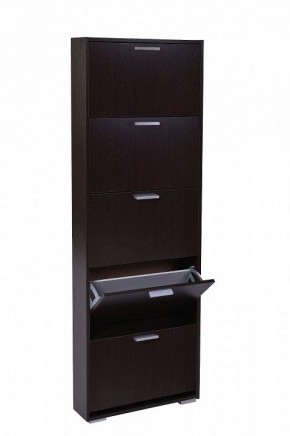 Шкаф для обуви УК-5 10000130 в Ишиме - ishim.mebel24.online | фото