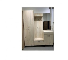 Шкаф для одежды 2-х дверный София 1 в Ишиме - ishim.mebel24.online | фото 6
