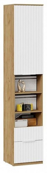 Шкаф комбинированный Хилтон Исп. 2 в Ишиме - ishim.mebel24.online | фото 4