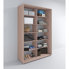 Шкаф-купе Акцент-Квадро Д 1600-600 в Ишиме - ishim.mebel24.online | фото 7