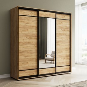 Шкаф-купе Акцент-Лайт ДЗ 1800-600 в Ишиме - ishim.mebel24.online | фото 1