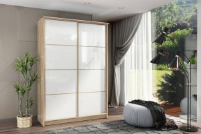 Шкаф-купе Байкал-2 СТЛ.268.11 в Ишиме - ishim.mebel24.online | фото