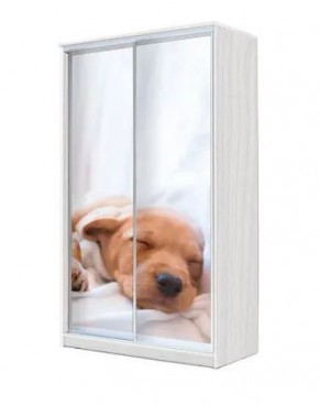 Шкаф-купе ХИТ 22-12/2-77 (620) в Ишиме - ishim.mebel24.online | фото 5