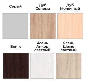 Шкаф-купе ХИТ 22-17-66 (620) в Ишиме - ishim.mebel24.online | фото 3