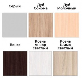 Шкаф-купе ХИТ 22-18-888 (620) в Ишиме - ishim.mebel24.online | фото 3