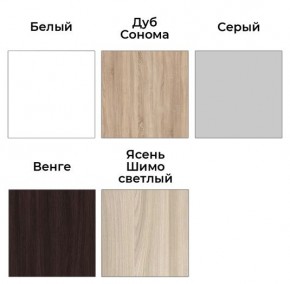 Шкаф-купе ХИТ 22-4-14-11 (420) в Ишиме - ishim.mebel24.online | фото 3