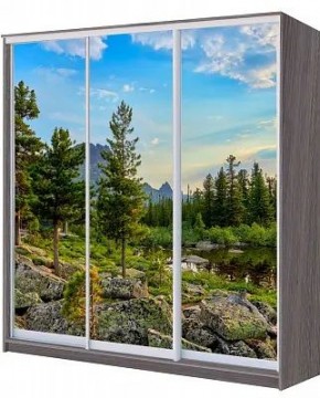 Шкаф-купе ХИТ 22-4-18/2-777 ПРИРОДА в Ишиме - ishim.mebel24.online | фото