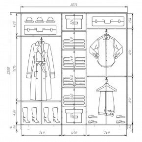 Шкаф-купе ХИТ 22-4-20-555 (420) в Ишиме - ishim.mebel24.online | фото 2