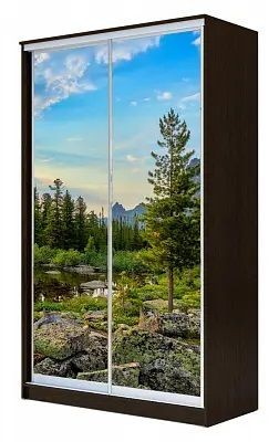 Шкаф-купе ХИТ 23-15-77 ПРИРОДА в Ишиме - ishim.mebel24.online | фото