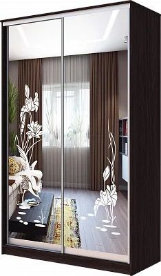 Шкаф-купе ХИТ 23-4-12-66 ЦАПЛИ в Ишиме - ishim.mebel24.online | фото