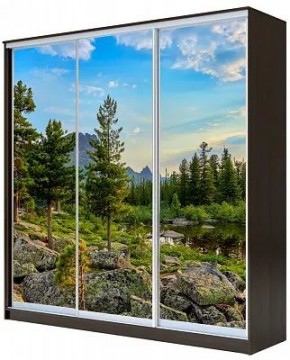 Шкаф-купе ХИТ 23-4-18-777 ПРИРОДА в Ишиме - ishim.mebel24.online | фото