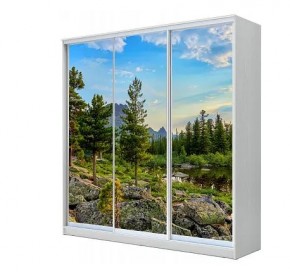 Шкаф-купе ХИТ 23-4-20-777 (420) в Ишиме - ishim.mebel24.online | фото