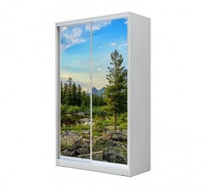 Шкаф-купе ХИТ 24-12/2-77 (620) в Ишиме - ishim.mebel24.online | фото