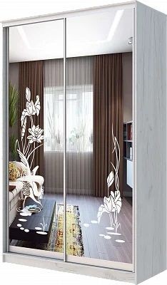 Шкаф-купе ХИТ 24-14-66 ЦАПЛИ в Ишиме - ishim.mebel24.online | фото