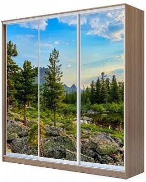 Шкаф-купе ХИТ 24-20/2-777 ПРИРОДА в Ишиме - ishim.mebel24.online | фото