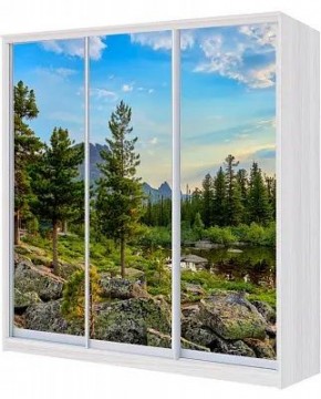 Шкаф-купе ХИТ 24-4-18-777 ПРИРОДА в Ишиме - ishim.mebel24.online | фото