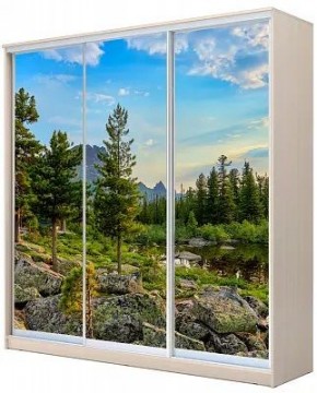Шкаф-купе ХИТ 24-4-20-777 ПРИРОДА в Ишиме - ishim.mebel24.online | фото