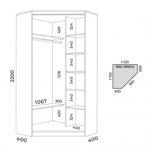 Шкаф-купе ХИТ-У-22-4-77 в Ишиме - ishim.mebel24.online | фото 2