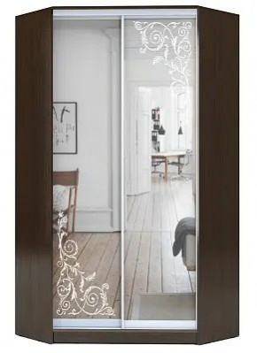 Шкаф-купе ХИТ-У-23-4-66 ОРНАМЕНТ в Ишиме - ishim.mebel24.online | фото