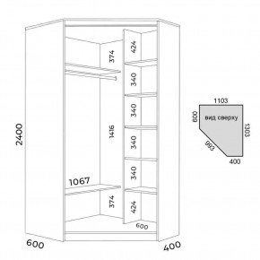 Шкаф-купе ХИТ-У-L-24-64-55 в Ишиме - ishim.mebel24.online | фото 3