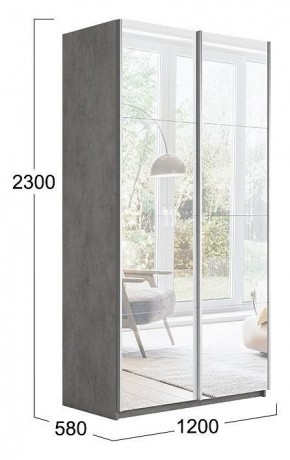 Шкаф-купе Траст СШК 2.120.60-13.13 в Ишиме - ishim.mebel24.online | фото 3